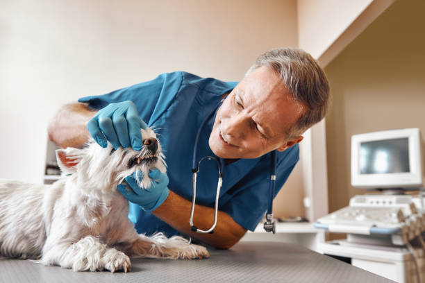 Best Same-Day Emergency Dentist in Wewa, OK